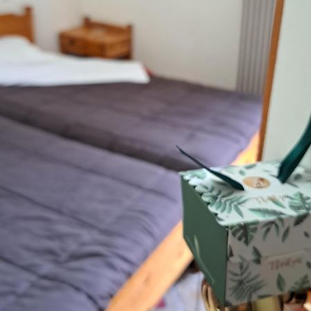 Apollon Inn Arachova Phòng bức ảnh